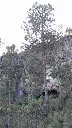 461925851_2631093310396131_2487909034629147033_n.webp