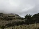 469602858_10235527323586580_4067590318687490970_n.webp