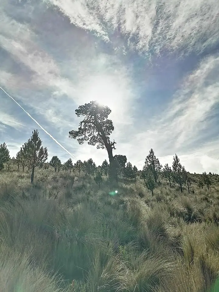 241488181_10226622693456392_1794017595250926188_n.webp