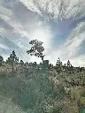 241488181_10226622693456392_1794017595250926188_n.webp