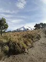241401029_10226622694296413_6644827697214337379_n.webp