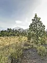 196045622_10226010093941787_3521537781176742592_n.webp