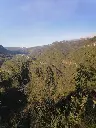 132091424_10224674119823269_8558912249446412312_n.webp