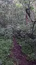 463049039_2646016115570517_3850821454477638008_n.webp