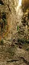 135205877_1643093685862770_3778077681062135074_n.webp