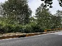 VENTA DE TERRENO EN IXHUATLANCILLO: TERRENO EN IXHUATLANCILLO